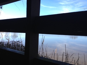 I captured this unique view from what I believe was a duck blind at the Terrapin Nature Area. (Vanessa Junkin photo)