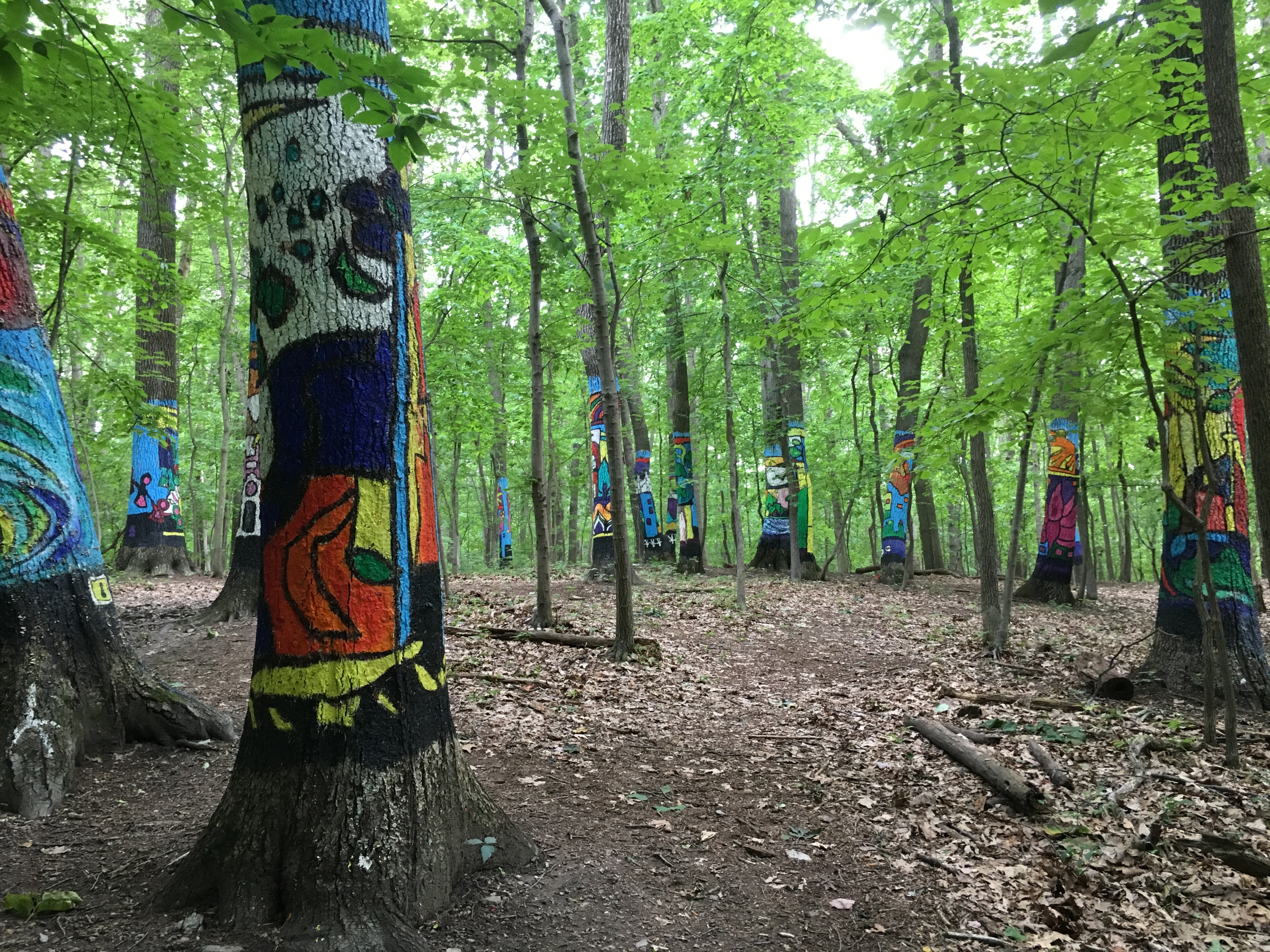 Numerous painted trees in horizontal photo. 