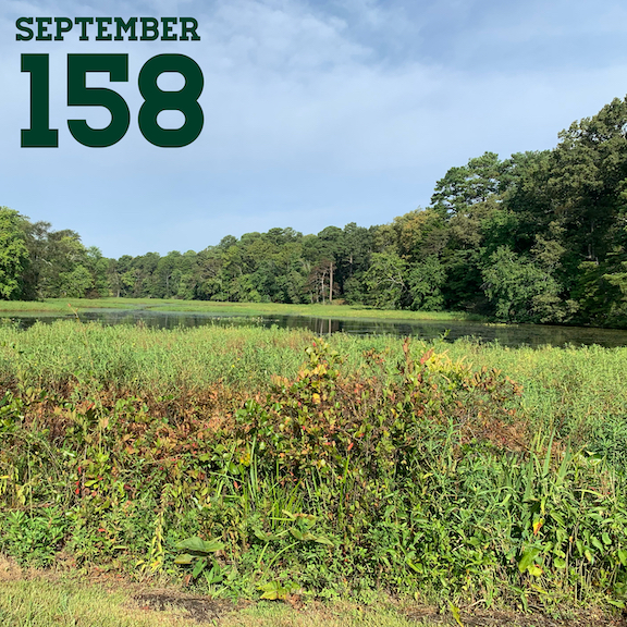 Scenic view with "September 158" in green font in the left corner. 