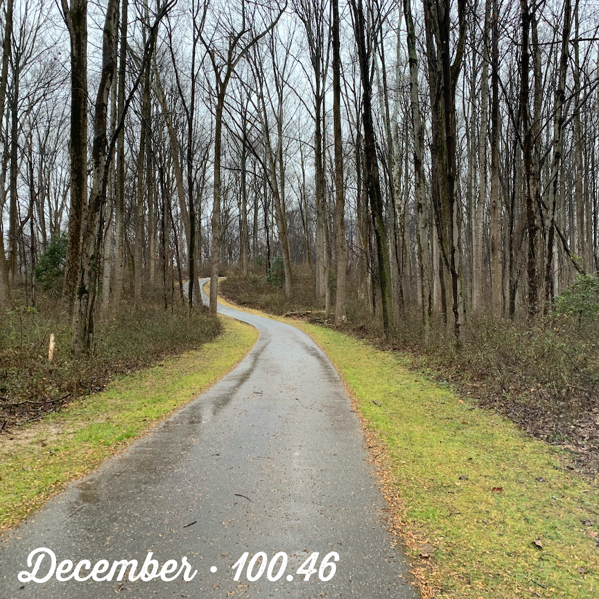 A photo of a winding paved trail in the woods with the text "December - 100.46"