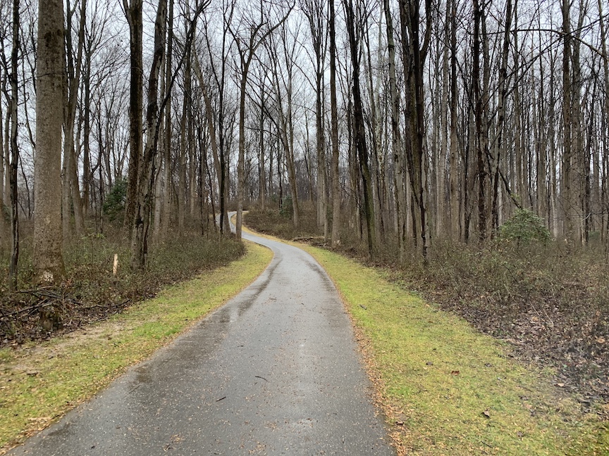 Paved trail winding through the woods in the winter. 