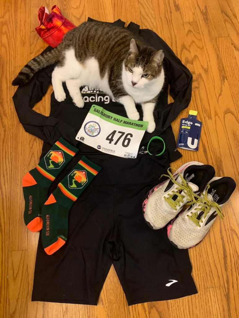 Flat lay of running outfit with cat laying on top of it. 